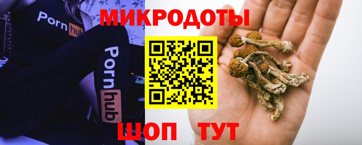 Сыктывкар  Псилоцибиновые грибы Psilocybe  Вход с VPN  Галлюциногенные грибы Magic Shrooms 